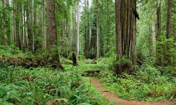places to visit in northern California, northern California things to see