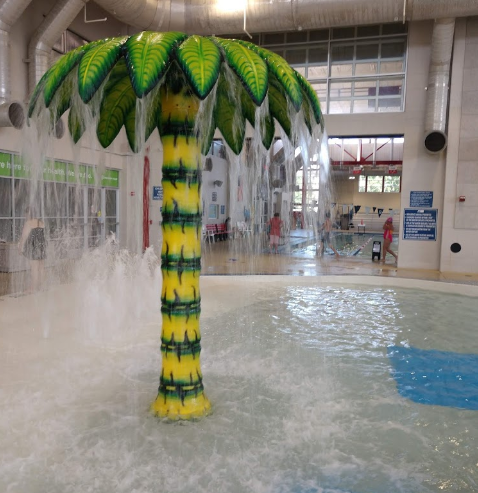 ,indoor water park in the Dallas area,indoor water park hotels in Dallas,best water park in Dallas,water park in Dallas indoor,house with a water park in Dallas,indoor water park in Dallas fort worth area epic water park in Dallas, texas