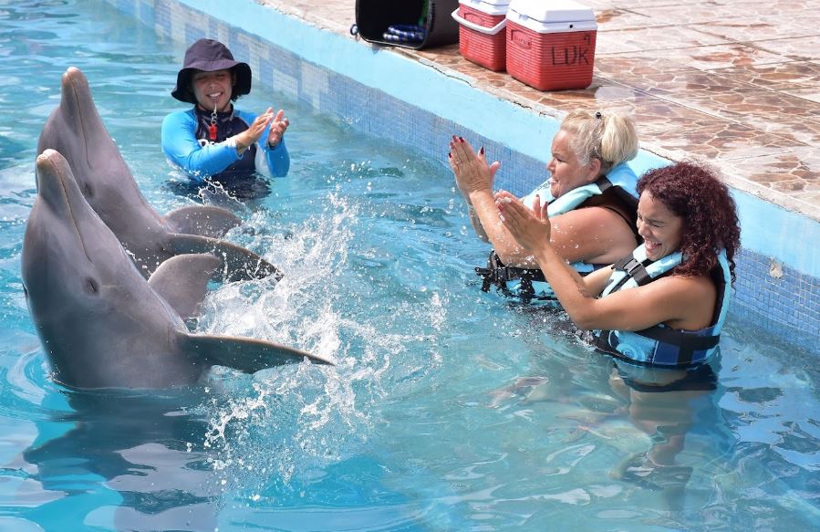 snorkeling activity in Puerto Vallarta, enjoy interesting water activities in Puerto Vallarta,water activities that you can enjoy in Puerto Vallarta 